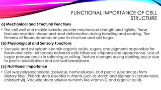 FUNCTIONAL IMPORTANCE OF CELL
STRUCTURE
a) Mechanical and Structural Functions
• The cell wall and middle lamella provide mechanical strength and rigidity. These
features maintain shape and resist deformation during handling and cooking. The
firmness of tissues depends on pectin structure and cell turgor.
(b) Physiological and Sensory Functions
• Vacuole and cytoplasm contain organic acids, sugars, and pigments responsible for
flavor and color. Air spaces between cells influence crispness and appearance. Loss of
turgor pressure results in softening or wilting. Texture changes during cooking occur due
to pectin solubilization and cell wall breakdown.
(c) Nutritional Importance
• Cell wall polysaccharides (cellulose, hemicellulose, and pectic substances) form
dietary fiber. Plastids store essential nutrients such as starch and pigments (carotenoids,
chlorophyll). Vacuole stores soluble nutrients like vitamin C and organic acids.
 