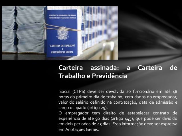 Clt artigo 29