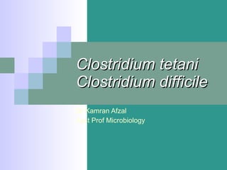 Clostridium tetani Clostridium difficile Dr Kamran Afzal Asst Prof Microbiology 
