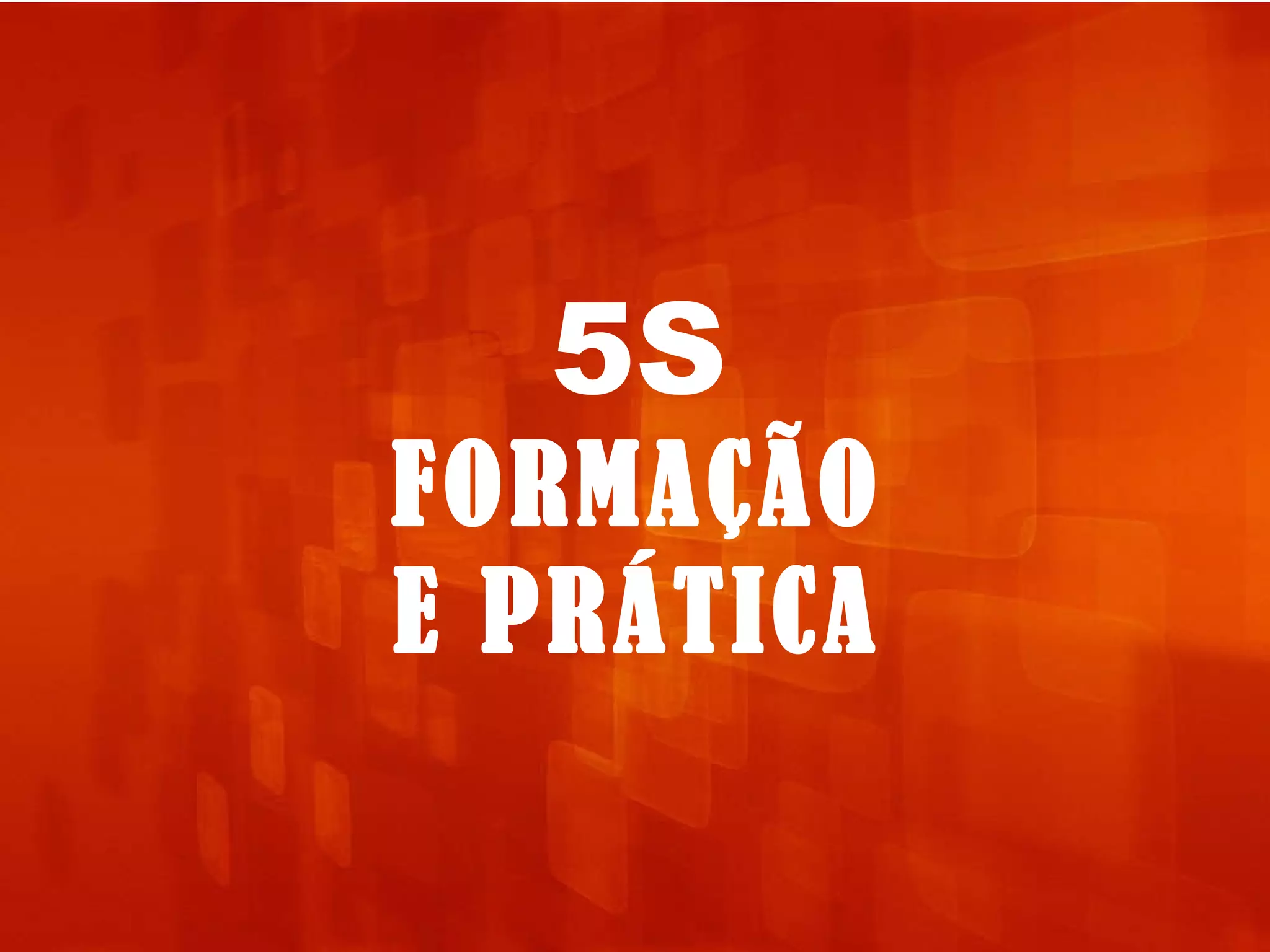 5S FORMAÇÃO E PRÁTICA 