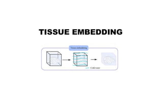Clinical Laboratory Technology - Tissue collection and processing | PDF