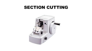Clinical Laboratory Technology - Tissue collection and processing | PDF