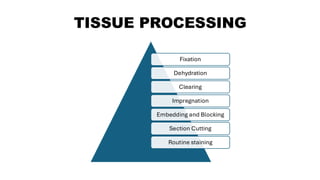 Tissue Processing Methods Clinical Laboratory Technology - Tissue collection and processing | PDF
