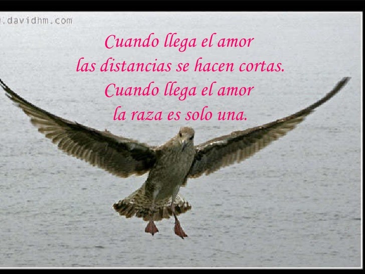 Resultado de imagen para poemas a los animales