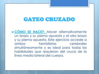 GATEO CRUZADOCÓMO SE HACE?: Mover alternativamente un brazo y su pierna opuesta y el otro brazo y su pierna opuesta. Este ejercicio accede a ambos hemisferios cerebrales simultáneamente y es ideal para todas las habilidades que requieran del cruce de la línea media lateral del cuerpo. 