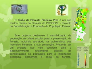 O Clube da Floresta Pinheiro Vivo é um dos
muitos Clubes da Floresta do PROSEPE - Projecto
de Sensibilização e Educação da População Escolar.


     Este projecto destina-se à sensibilização da
população em idade escolar para a preservação da
floresta, incidindo sobretudo na problemática dos
incêndios florestais e sua prevenção. Pretende ser
um projecto que vise contribuir para o
desenvolvimento       sustentável,  através     da
sensibilização da população para a importância
ecológica, económica e social da floresta.
 