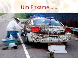 Ser um Bom CarpinteiroOs materiais precisam de constantes reparações