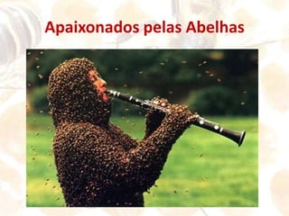 Esta Abelha Transporta Pólen nas Patas