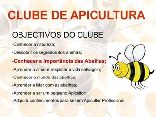 CLUBE DEAPICULTURAOBJECTIVOS DO CLUBEConhecer a natureza;
