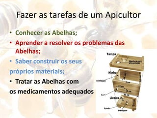 Descobrir os segredos dos animais;