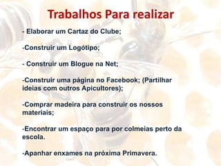 Manutenção ou Verificação do estado da Colmeia