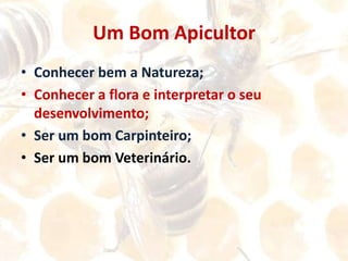 Conhecer a Importância das Abelhas;