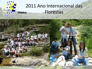2011 Ano Internacional das FlorestasFórneaALMOÇO EUROPEU