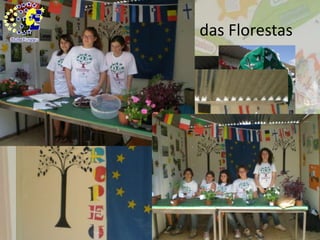 2011 Ano Internacional das Florestas