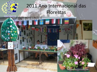 2011 Ano Internacional das Florestas