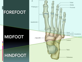 Club Foot Club Foot