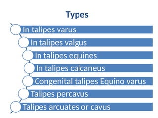 Semester 6 Unit 2 Club foot (talipes).pptx