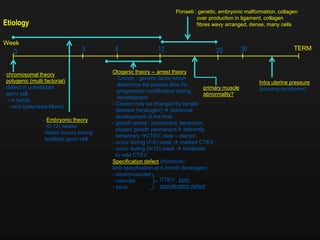 Etiology
- chromosomal theory
polygenic (multi factorial)
- defect in unfertilized
germ cell :
- in family
- race (palynesia-Maori)
Week
TERM3012850
- Embryonic theory
(0-12) weeks
defect occurs during
fertilized germ cell
Otogenic theory -- arrest theory
- Cronon : genetic factor which
determine the precise time for
progression modification during
development
- Cronon may be changed by certain
element (teratogen)  abnormal
development of the limb
- growth arrest : permanent, temporair,
slowed growth permanent deformity
temporary CTEV, slow – steroid
- occur during (7-8) week  marked CTEV
- occur during (9-12) week  moderate
to mild CTEV
Specification defect (Hoofnick)
limb specification at 5 month (teratogen)
- neuromuscular
- vascular
- bone
CTEV : post
specification defect
primary muscle
abnormality?
Intra uterine pressure
(packing syndrome)
20
Ponseti : genetic, embryonic malformation, collagen
over production in ligament, collagen
fibres wavy arranged, dense, many cells
 