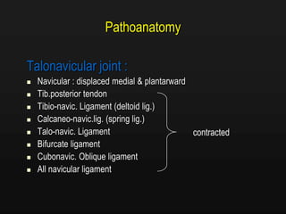 Pathoanatomy
Talonavicular joint :
 Navicular : displaced medial & plantarward
 Tib.posterior tendon
 Tibio-navic. Ligament (deltoid lig.)
 Calcaneo-navic.lig. (spring lig.)
 Talo-navic. Ligament
 Bifurcate ligament
 Cubonavic. Oblique ligament
 All navicular ligament
contracted
 