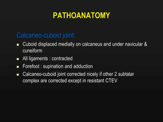 PATHOANATOMY
Calcaneo-cuboid joint:
 Cuboid displaced medially on calcaneus and under navicular &
cuneiform
 All ligaments : contracted
 Forefoot : supination and adduction
 Calcaneo-cuboid joint corrected nicely if other 2 subtalar
complex are corrected except in resistant CTEV
 