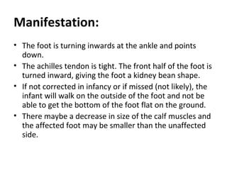 Manifestation:
• The foot is turning inwards at the ankle and points
down.
• The achilles tendon is tight. The front half of the foot is
turned inward, giving the foot a kidney bean shape.
• If not corrected in infancy or if missed (not likely), the
infant will walk on the outside of the foot and not be
able to get the bottom of the foot flat on the ground.
• There maybe a decrease in size of the calf muscles and
the affected foot may be smaller than the unaffected
side.
 