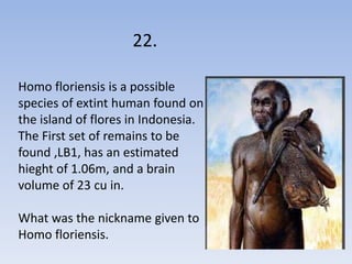 22.

Homo floriensis is a possible
species of extint human found on
the island of flores in Indonesia.
The First set of remains to be
found ,LB1, has an estimated
hieght of 1.06m, and a brain
volume of 23 cu in.

What was the nickname given to
Homo floriensis.
 