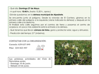 - Qué día: Domingo 27 de Mayo.
- A qué hora: 10:45 h. (hasta 13,30 h., aprox.)
-Dónde quedamos: en la dehesa municipal de Alpedrete.
Se encuentra junto al polígono. Desde la rotonda de El Cantero, giramos en la
primera calle del polígono a la izquierda (viene indicada la dehesa) y después en la
primera calle a la derecha.
Al finalizar esta calle seguimos por el camino de tierra y pasamos el centro de
ocipesca. Un poco más adelante está la entrada a la dehesa.
- Qué tenemos que llevar: cámara de fotos, gorra y protector solar, agua y almuerzo.
- Predicción del tiempo: 21º (máxima).



CONTACTAR CON LA ORGANIZACIÓN:
Carmelo: 639 637 849
Pilar: 654 823 497




Las próximas actividades        del   Club   de
Naturaleza serán:
- Domingo 10 de junio.
- Sábado 23 de junio.
 