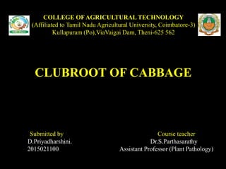COLLEGE OF AGRICULTURAL TECHNOLOGY
(Affiliated to Tamil Nadu Agricultural University, Coimbatore-3)
Kullapuram (Po),ViaVaigai Dam, Theni-625 562
CLUBROOT OF CABBAGE
Submitted by Course teacher
D.Priyadharshini. Dr.S.Parthasarathy
2015021100 Assistant Professor (Plant Pathology)
 