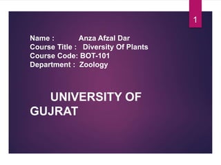 Name : Anza Afzal Dar
Course Title : Diversity Of Plants
Course Code: BOT-101
Department : Zoology
UNIVERSITY OF
GUJRAT
1
 