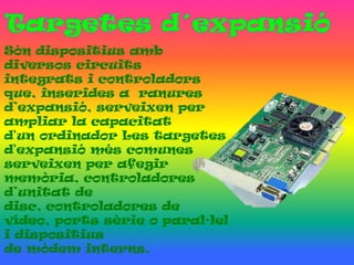 Són dispositius amb
diversos circuits
integrats i controladors
que, inserides a ranures
d’expansió, serveixen per
ampliar la capacitat
d'un ordinador Les targetes
d'expansió més comunes
serveixen per afegir
memòria, controladores
d’unitat de
disc, controladores de
vídeo, ports sèrie o paral·lel
i dispositius
de mòdem interns.
 