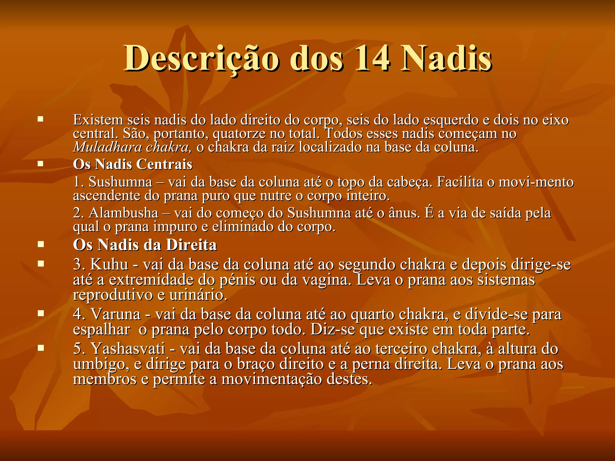 Descrição dos 14 Nadis Existem seis nadis do lado direito do corpo, seis do lado esquerdo e dois no eixo central. São, portanto, quatorze no total. Todos esses nadis começam no  Muladhara chakra,  o chakra da raiz localizado na base da coluna. Os Nadis Centrais 1. Sushumna – vai da base da coluna até o topo da cabeça. Facilita o movi­mento ascendente do prana puro que nutre o corpo inteiro.  2. Alambusha – vai do começo do Sushumna até o ânus. É a via de saída pela qual o prana impuro e eliminado do corpo. Os Nadis da Direita 3. Kuhu - vai da base da coluna até ao segundo chakra e depois dirige-se até a extremidade do pénis ou da vagina. Leva o prana aos sistemas reprodutivo e urinário.  4. Varuna - vai da base da coluna até ao quarto chakra, e divide-se para espalhar  o prana pelo corpo todo. Diz-se que existe em toda parte.  5. Yashasvati - vai da base da coluna até ao terceiro chakra, à altura do umbigo, e dirige para o braço direito e a perna direita. Leva o prana aos membros e permite a movimentação destes.  