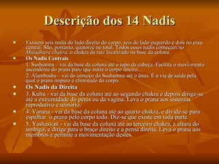 Descrição dos 14 Nadis Existem seis nadis do lado direito do corpo, seis do lado esquerdo e dois no eixo central. São, portanto, quatorze no total. Todos esses nadis começam no  Muladhara chakra,  o chakra da raiz localizado na base da coluna. Os Nadis Centrais 1. Sushumna – vai da base da coluna até o topo da cabeça. Facilita o movi­mento ascendente do prana puro que nutre o corpo inteiro.  2. Alambusha – vai do começo do Sushumna até o ânus. É a via de saída pela qual o prana impuro e eliminado do corpo. Os Nadis da Direita 3. Kuhu - vai da base da coluna até ao segundo chakra e depois dirige-se até a extremidade do pénis ou da vagina. Leva o prana aos sistemas reprodutivo e urinário.  4. Varuna - vai da base da coluna até ao quarto chakra, e divide-se para espalhar  o prana pelo corpo todo. Diz-se que existe em toda parte.  5. Yashasvati - vai da base da coluna até ao terceiro chakra, à altura do umbigo, e dirige para o braço direito e a perna direita. Leva o prana aos membros e permite a movimentação destes.  