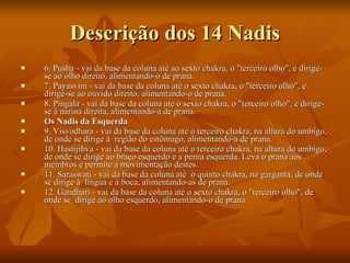 Descrição dos 14 Nadis 6. Pusha - vai da base da coluna até ao sexto chakra, o "terceiro olho", e dirige-se ao olho direito, alimentando-o de prana.  7. Payasvini - vai da base da coluna até o sexto chakra, o "terceiro olho", e dirige-se ao ouvido direito, alimentando-o de prana.  8. Pingala - vai da base da coluna ate o sexto chakra, o "terceiro olho", e dirige-se à narina direita, alimentando-a de prana. Os Nadis da Esquerda  9. Visvodhara - vai da base da coluna até o terceiro chakra, na altura do umbigo, de onde se dirige à  região do estômago, alimentando-a de prana.  10. Hastijihva - vai da base da coluna até o terceiro chakra, na altura do umbigo, de onde se dirige ao braço esquerdo e a perna esquerda. Leva o prana aos membros e permite a movimentação destes.  11. Saraswati - vai da base da coluna até  o quinto chakra, na garganta, de onde se dirige à  língua e à boca, alimentando-as de prana.  12. Gandhari - vai da base da coluna até o sexto chakra, o "terceiro olho", de onde se  dirige ao olho esquerdo, alimentando-o de prana.  
