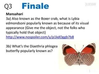 FinaleQ3
Mansahari
3a) Also known as the Boxer crab, what is Lybia
edmondsoni popularly known as because of its visual
appearance (Give me the object, not the folks who
typically hold that object)
http://www.nospoiler.com/y/p1kdOggb7b8
3b) What’s the Diaethria phlogea
butterfly popularly known as?
 