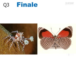 FinaleQ3
 