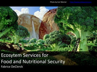 Photo
Ecosytem Services for
Food and Nutritional Security
Fabrice DeClerck
Photo by Carl Warner http://www.carlwarner.com
 