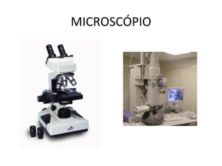 MICROSCÓPIO 