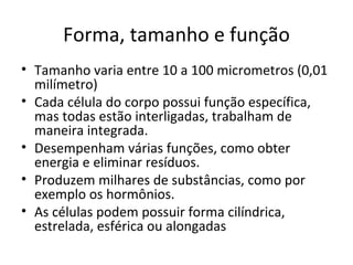 Forma, tamanho e função Tamanho varia entre 10 a 100 micrometros (0,01 milímetro) Cada célula do corpo possui função específica, mas todas estão interligadas, trabalham de maneira integrada. Desempenham várias funções, como obter energia e eliminar resíduos. Produzem milhares de substâncias, como por exemplo os hormônios. As células podem possuir forma cilíndrica, estrelada, esférica ou alongadas 