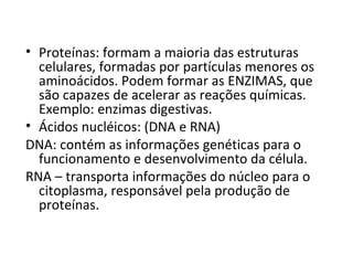 Proteínas: formam a maioria das estruturas celulares, formadas por partículas menores os aminoácidos. Podem formar as ENZIMAS, que são capazes de acelerar as reações químicas. Exemplo: enzimas digestivas. Ácidos nucléicos: (DNA e RNA) DNA: contém as informações genéticas para o funcionamento e desenvolvimento da célula. RNA – transporta informações do núcleo para o citoplasma, responsável pela produção de proteínas. 