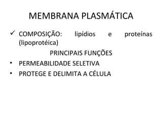 MEMBRANA PLASMÁTICA COMPOSIÇÃO: lipídios e proteínas (lipoprotéica) PRINCIPAIS FUNÇÕES PERMEABILIDADE SELETIVA PROTEGE E DELIMITA A CÉLULA 