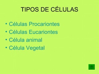 TIPOS DE CÉLULAS <ul><li>Células Procariontes </li></ul><ul><li>Células Eucariontes </li></ul><ul><li>Célula animal </li><...