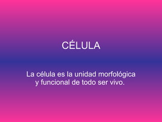 CÉLULA La célula es la unidad morfológica y funcional de todo ser vivo.  