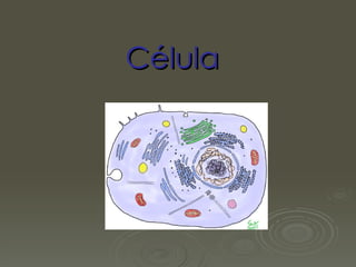 Célula