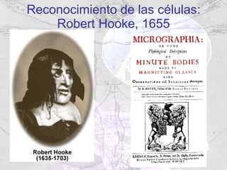 Reconocimiento de las células: Robert Hooke, 1655 