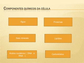 COMPONENTES QUÍMICOS DA CÉLULA


             Água                 Proteínas




         Sais minerais             Lipídios




   Ácidos nucléicos ( DNA e      Carboidratos
            RNA )
 
