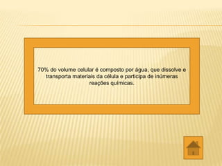 70% do volume celular é composto por água, que dissolve e
  transporta materiais da célula e participa de inúmeras
                    reações químicas.
 