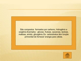 São compostos formados por carbono, hidrogênio e
oxigênio.Exemplos : glicose, frutose, sacarose, lactose,
maltose, amido, glicogênio.Os carboidratos têm função
      primordial de fornecer energia para célula.
 