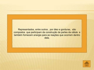 Representados, entre outros , por óleo e gorduras, são
compostos que participam da construção de partes da célula e
também fornecem energia para as reações que ocorrem dentro
                           dela.
 