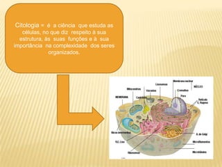 Citologia = é a ciência que estuda as
   células, no que diz respeito à sua
  estrutura, às suas funções e à sua
importância na complexidade dos seres
              organizados.
 