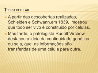 TEORIA CELULAR
 A partir das descobertas realizadas,
  Schleiden e Schwann,em 1839, mostrou
  que todo ser vivo é constituido por células.
 Mas tarde, o patologista Rudolf Virchow
  destacou a ideia da continuidade genética ,
  ou seja, que as informações são
  transferidas de uma célula para outra.
 